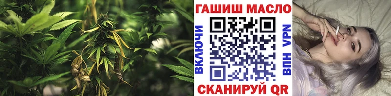 дарк нет наркотические препараты  Каргат  Дистиллят ТГК вейп с тгк 